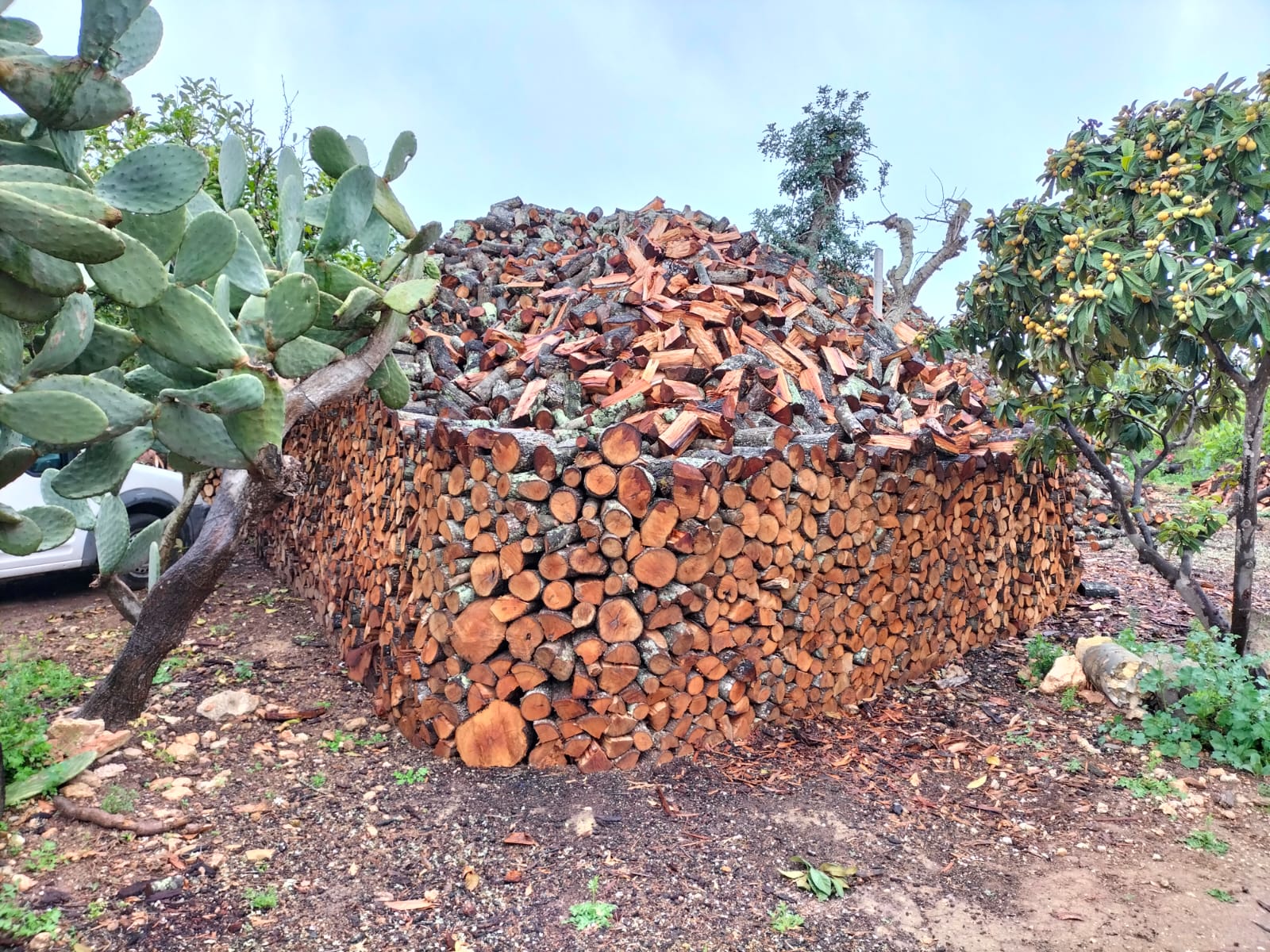 Leña seca lista para chimenea en Mallorca