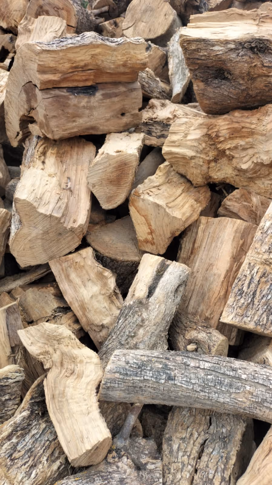 Troncos de olivo listos para chimenea